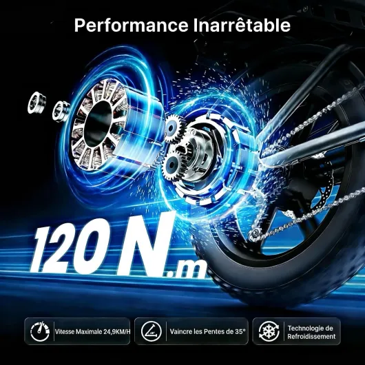 DEEPOWER QS7 Vélo Électrique, Batterie Amovible 48V 60Ah/35Ah/20Ah, Autonomie 110-250KM, Moteur 120 N·m, Pneu Gras 20'' X 4.0, 7 Vitesses, Suspension Hydraulique Complète Noir