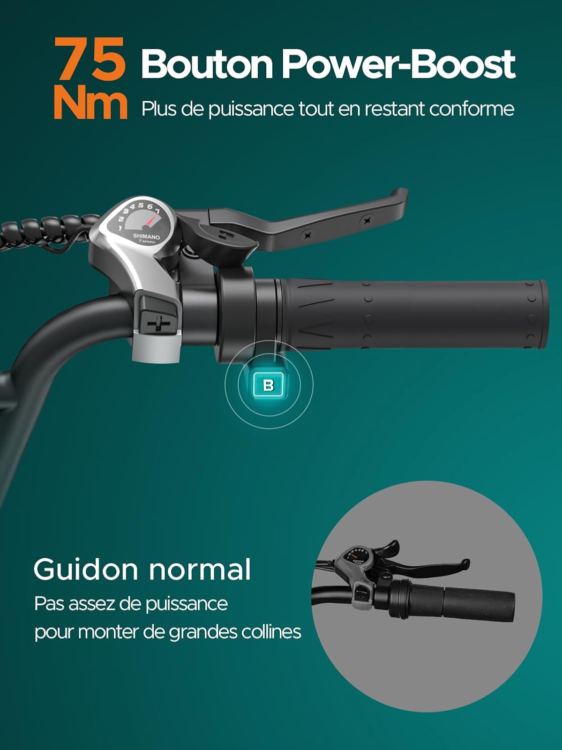 Velo Electrique Homme et Femme,126KM Max, L20 Boost Vélo électrique Noir+Paniers arrière L20 BOOST