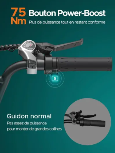 Velo Electrique Homme et Femme,126KM Max, L20 Boost Vélo électrique Noir+Paniers arrière L20 BOOST