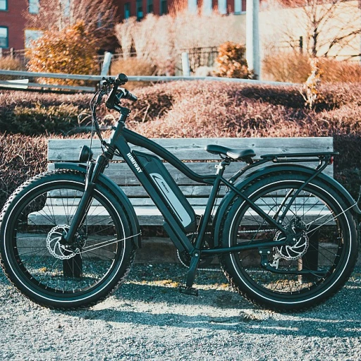 Comment choisir un porte-bagage adapté à un VTT tout suspendu électrique