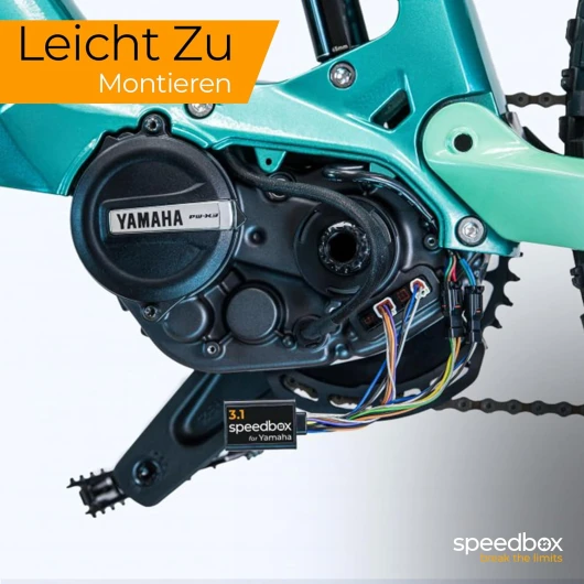 71EjF2Y7ghL._AC_SL1500_