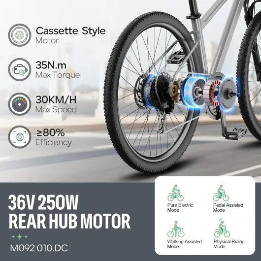 Varstrom Kit de Conversion Vélo Électrique 26'' 27,5'' 28''(700C) 36V 250W pour Moteur Arrière pour Cassette avec 36V13Ah, 15,6Ah,24Ah Batterie et Écran en Option