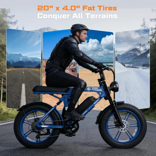 81f65rLFOTL._AC_SL1500_