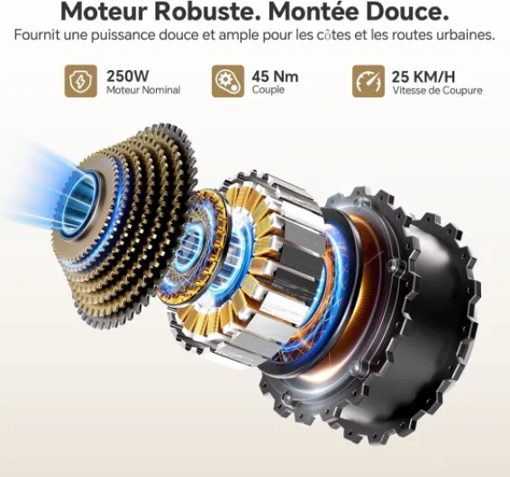 J2 St Vélos électriques, Autonomie 100KM, Vélo de Trekking avec Moteur 250W 45Nm, Batterie Amovible 561Wh, 26" Vélo Électrique Adulte, E-Bike, vélo électrique Urbain Gris