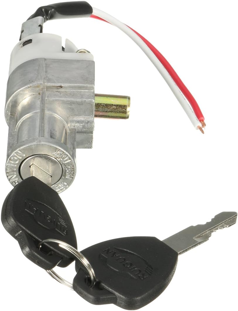 MOMOALA cylindre Batterie Chager Mini Lock avec 2 Clés pour Moto Scooter Électrique Vélo E-Bike, Argent