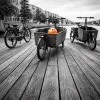 Vélo cargo électrique en famille : longtail, biporteur ou triporteur selon son terrain