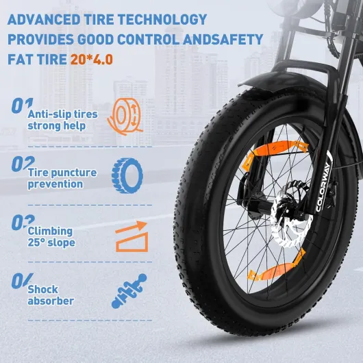 BK29G Vélo électrique, EBike 20'' avec Pneu Large 4.0, Moteur 250W et Batterie 36V 12Ah, avec écran LCD, Double Frein à Disque, jusqu'à 45-90km d'autonomie