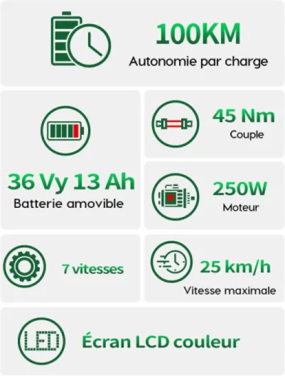 Vélo Électrique, Autonomie 80km, 26" vélo électrique Adulte, Assistance 25 km/h, Moteur 250W, Batterie Amovible 36V 13Ah, E-Bike, vélo électrique Femme Homme