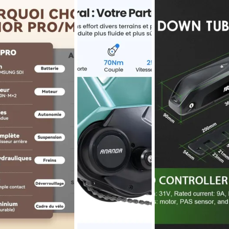 Les 48 meilleurs vélos électriques batterie amovible lithium (août 2026)