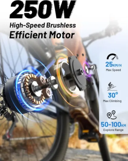 C29 Velo Électrique, VTT Homme Adulte 29 Pouces avec Batterie Amovible 48V 15Ah, Velo Femme Ville, Écran LCD et 21 Vitesses, E-Montagne Bike avec Double Disque de Frein et 250W Moteur Arrière Une Batterie