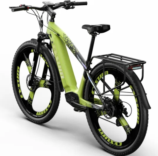 Cysum Speedy Vélo électrique Adulte, 29'' VTT électrique Homme Femme, Batterie Lithium 48v 15Ah, Moteur 250W 25km/h, autonomie 100-120km, Frein à Disque hydraulique,E-Mountainbike Vert