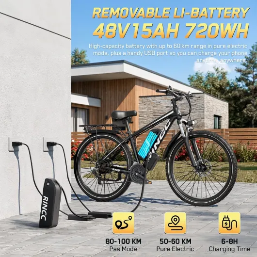 RINCC Vélo électrique RN50,29" Vélo électrique pour adultes 48 V 15 Ah Batterie avec 21 vitesses avec écran LCD, autonomie jusqu'à 100 km, moteur 250 W, cadre en alliage d'aluminium Noir
