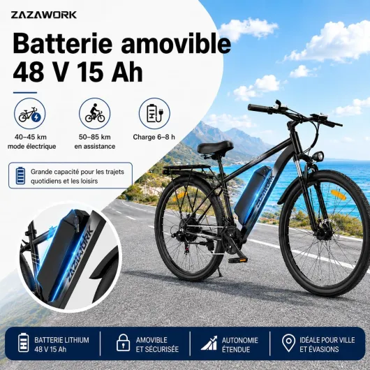 Vélo Électrique Homme 29", VTT 250W 48V 15Ah, Assistance 25KM/H, 21 Vitesses, Autonomie 85KM, Freins à Disque, Cadre Acier Carbone Gris