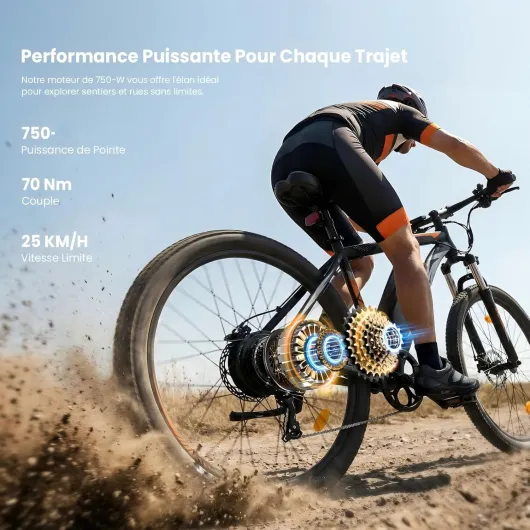 U2 Pro/U3 Pro Vélo Électrique Homme 29", VTT électrique avec Batterie Amovible 48V 15Ah, Autonomie 150KM, 70Nm, Freins à Disque Hydrauliques, Vélo électrique Tout-Terrain U2 PRO-NOIR
