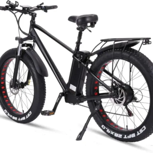 Test Ride66 RX30 : le fat bike électrique costaud mais pas discret